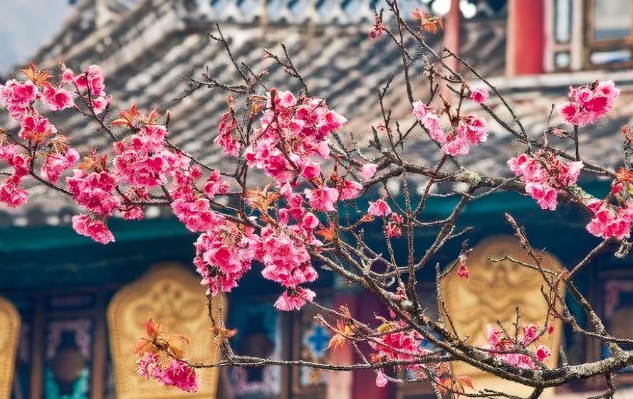 8座著名古寺，8首著名古诗，哪座古寺对应的古诗最有诗情画意？