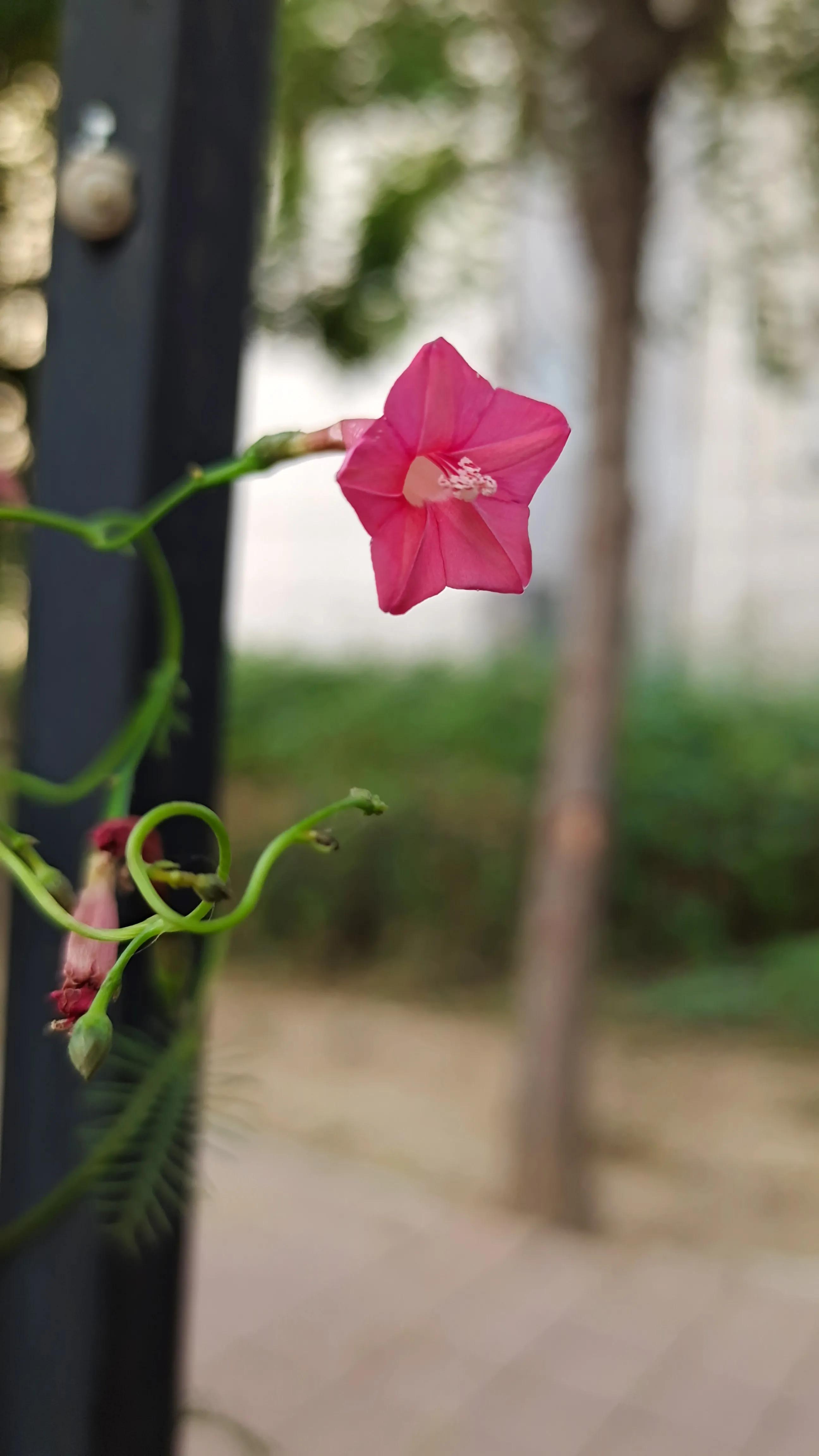 念念不忘必有回响的意思,念念不忘必有回响么