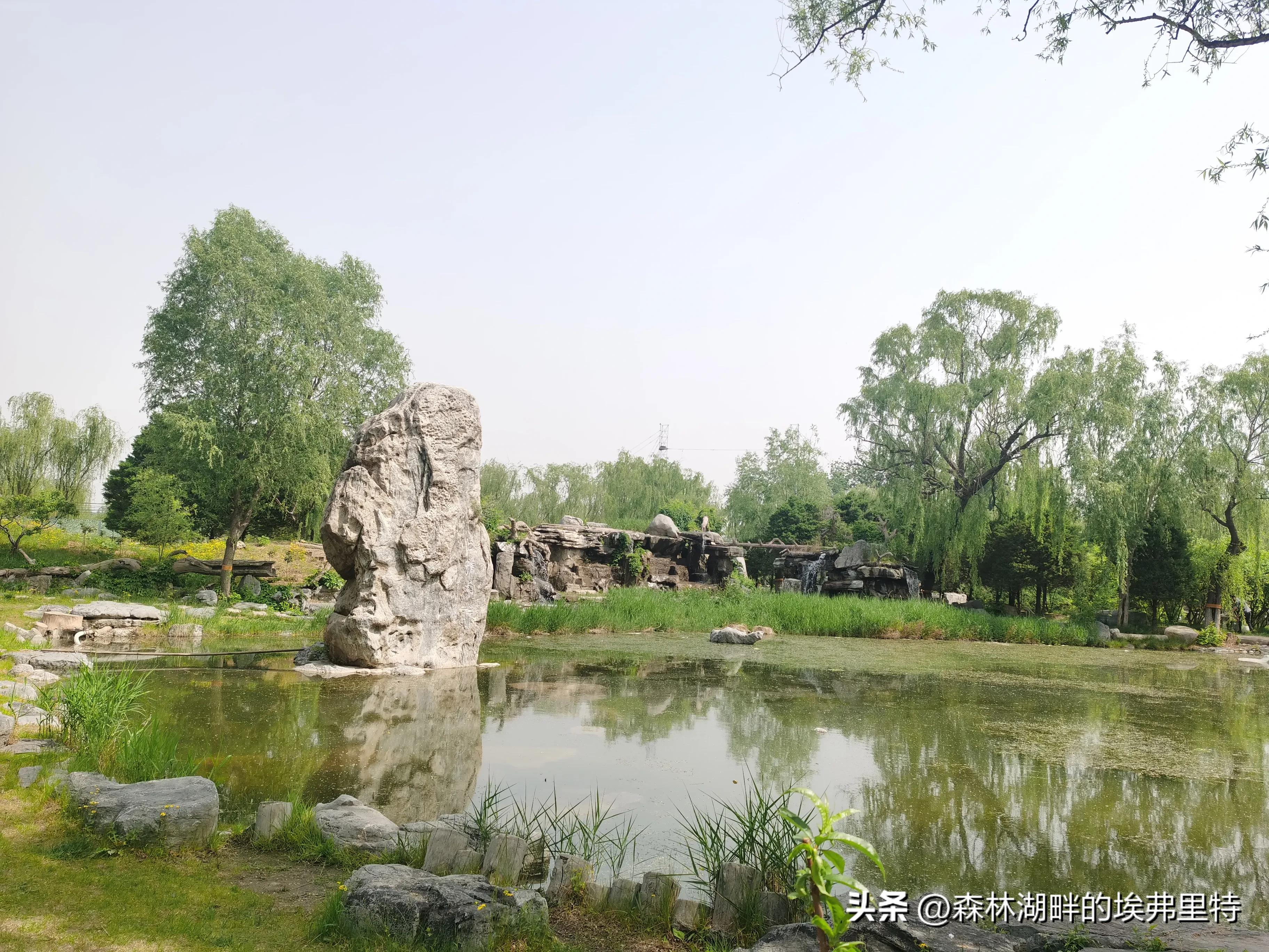 蟹岛度假村火灾,蟹岛度假村视频