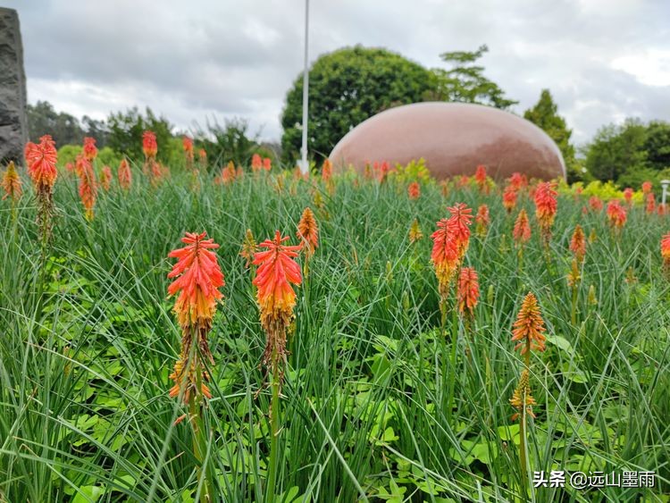 昆明世博园最值得看的有哪些景点,昆明世博园哪里看花最好看