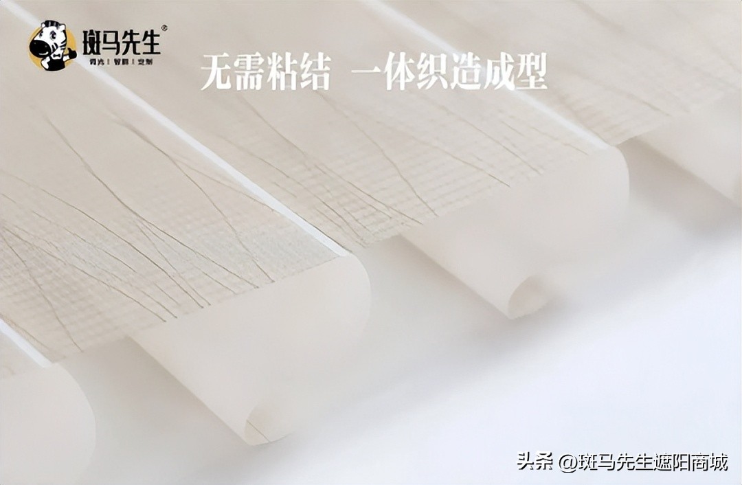 斑马先生装饰,斑马先生遮阳