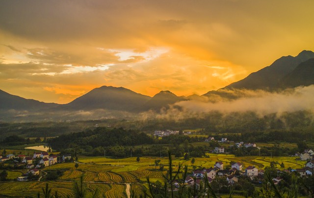 散文难得清醒,不烦世事满心欢喜原创散文