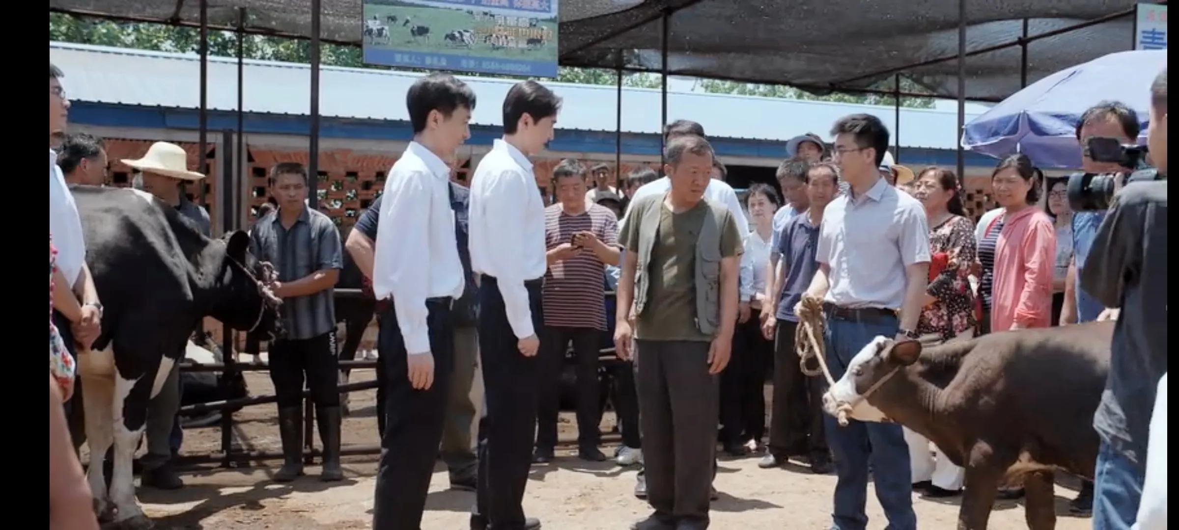 县委大院电视剧怎么过审的,县委大院危机公关