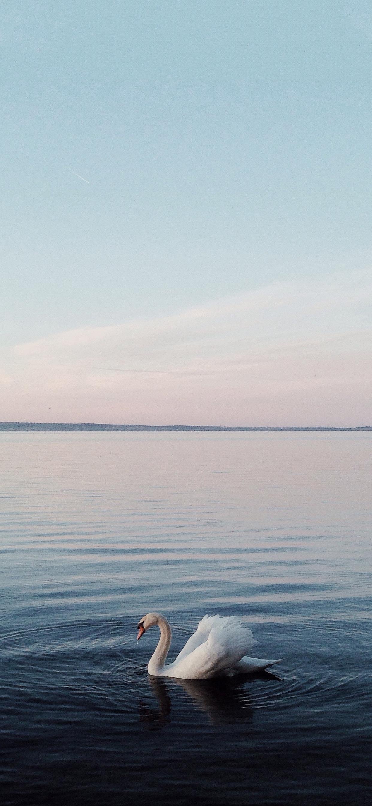 4k超清手机壁纸3120,498超清手机壁纸