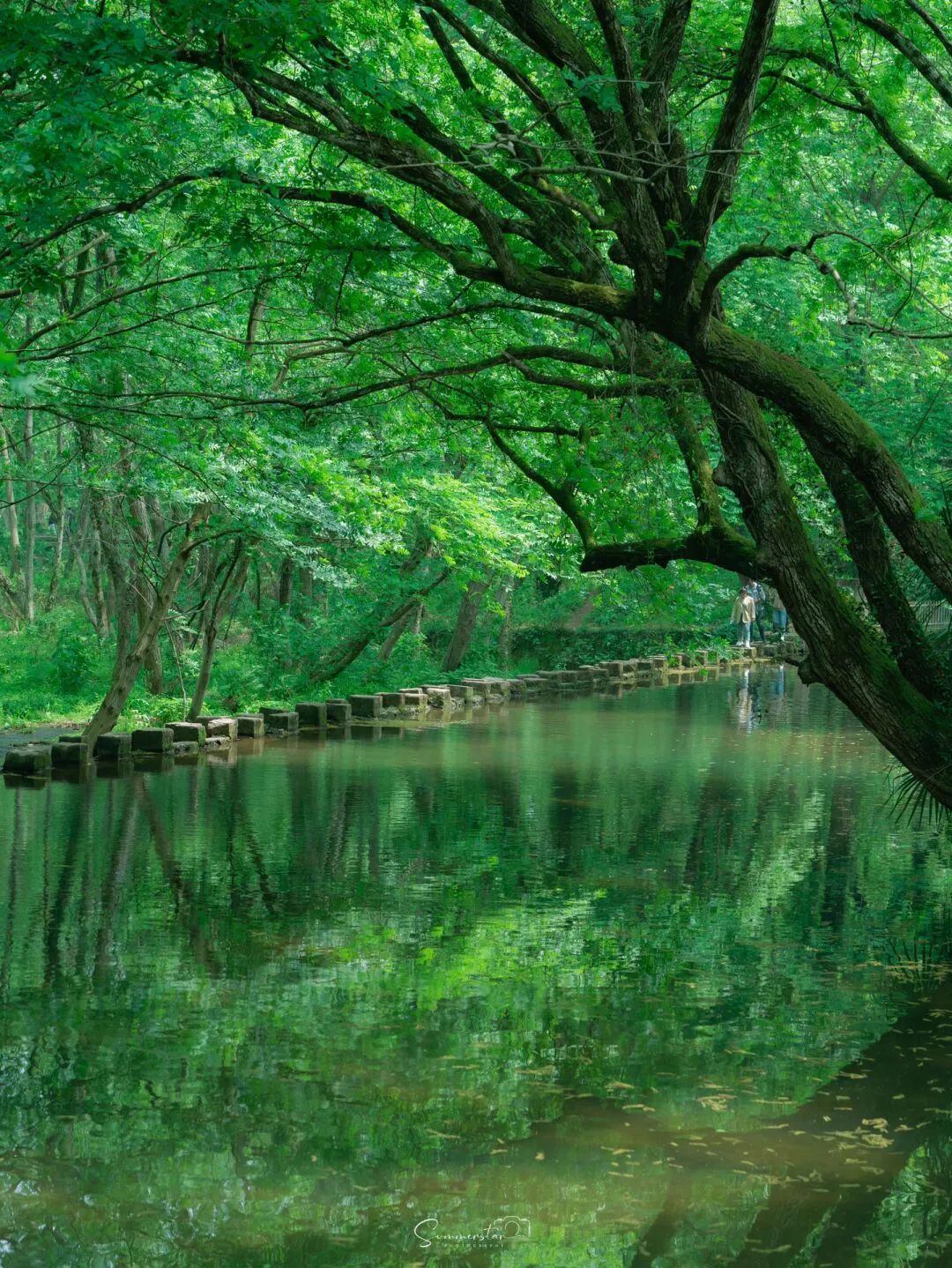 适合夏天避暑旅游的地方,适合夏天避暑的旅游地方