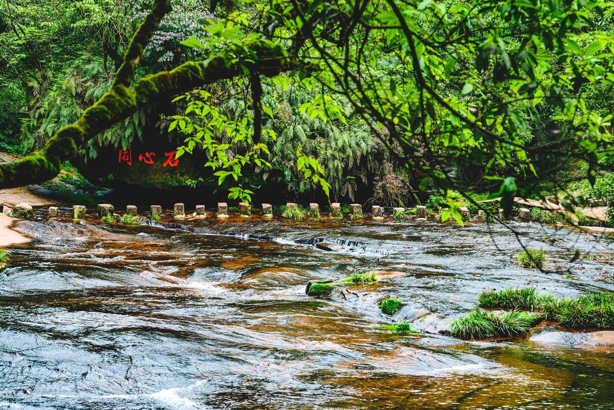 内江资中县旅游攻略,内江资中一日游攻略