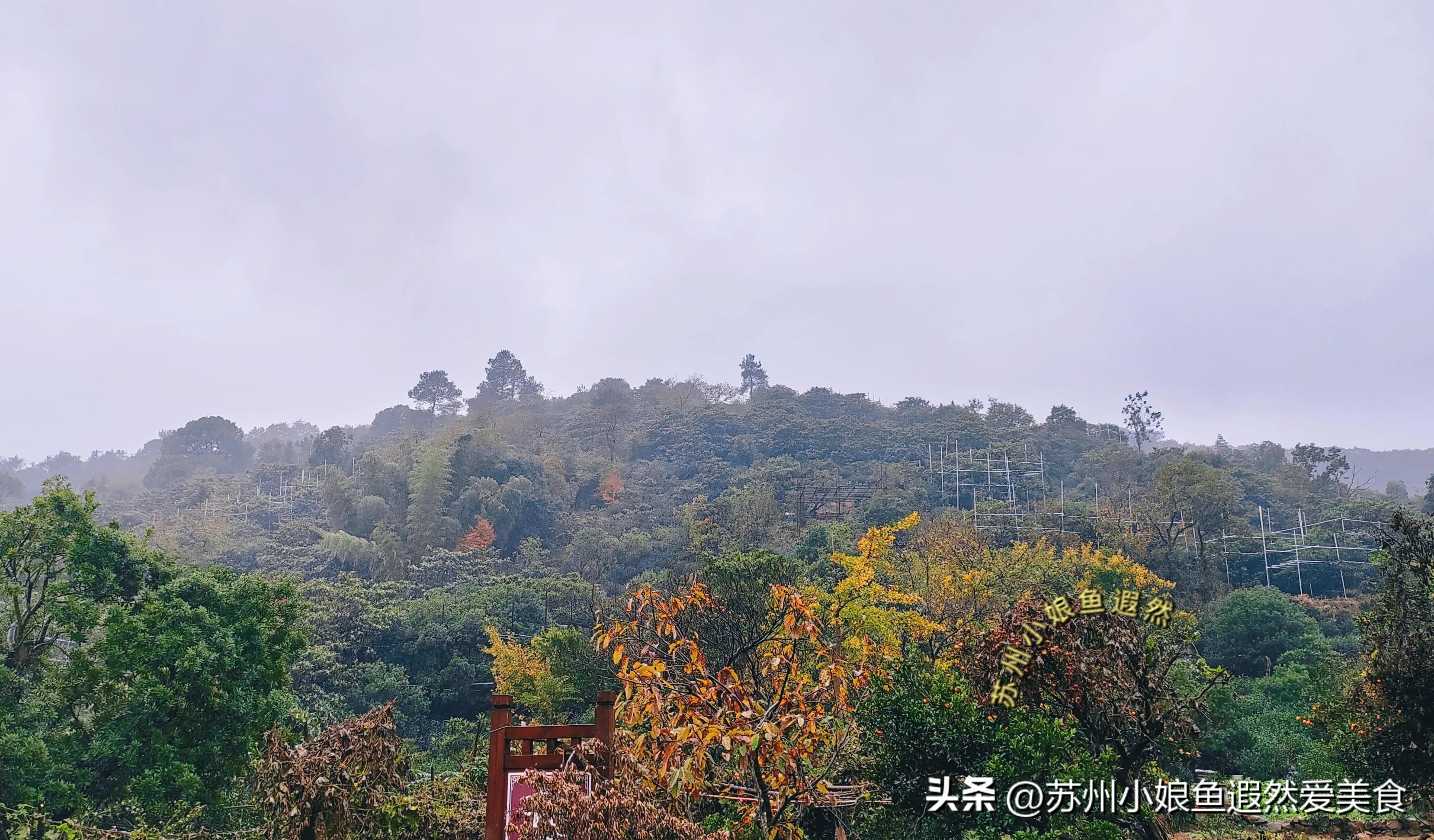 苏州一日游攻略探索更好玩的景点,苏州一日游景区推荐