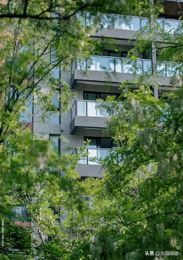 如果能投票,你最希望哪家郑州本土房企渡过危机?