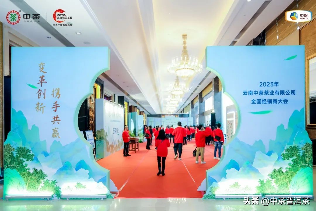 中茶普洱茶经销商信息大会,中茶2024年经销商大会