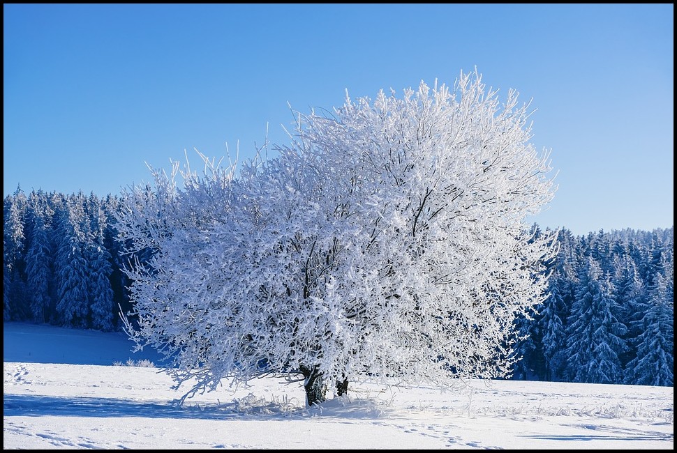 经典短句子个性签名大全集,网上很火的个性签名短句