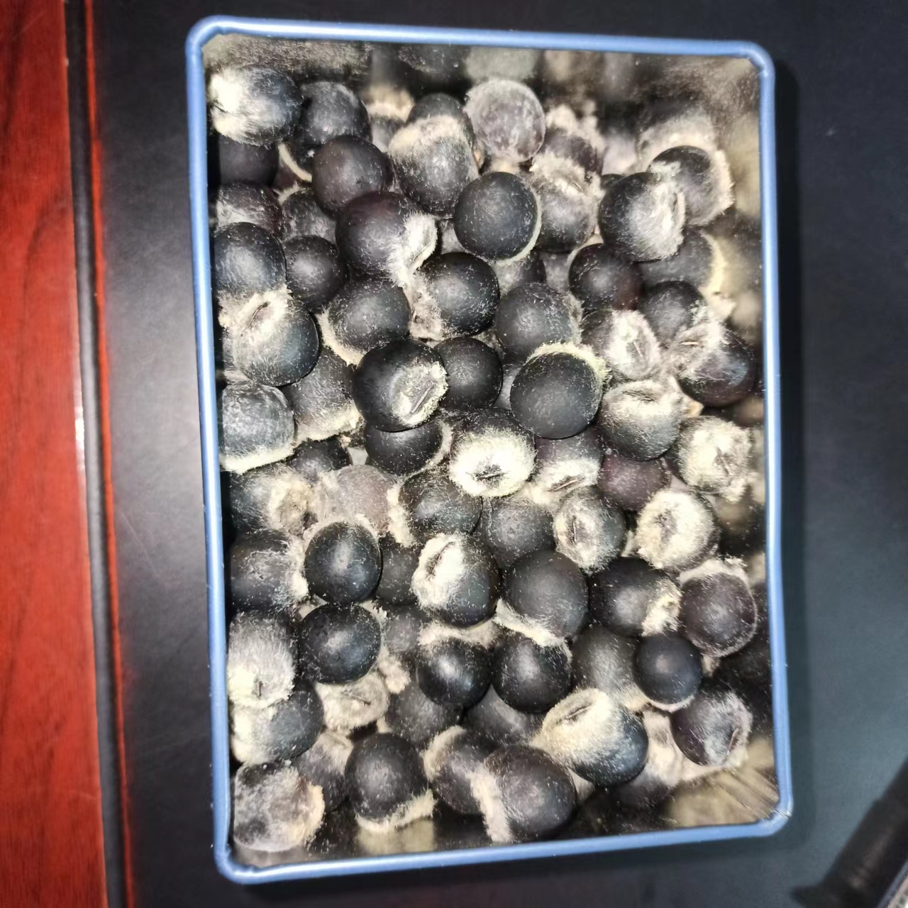 无患子籽自制手串经验,无患子树手串制作