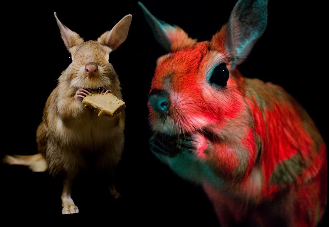 你最想知道的科学图片,你最喜欢哪一张图片