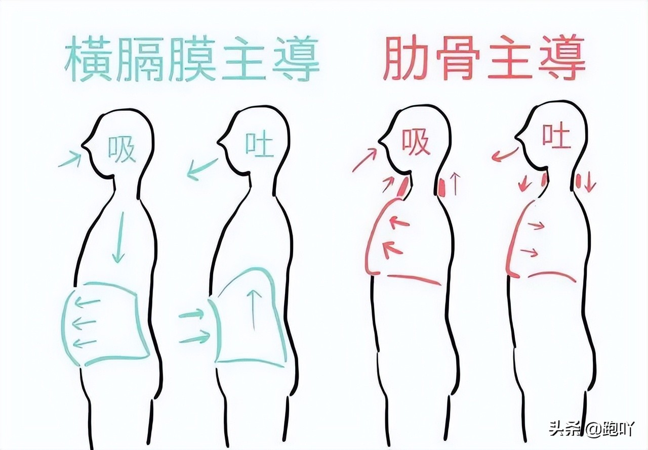 为什么初跑者跑180步频,跑步为啥越跑呼吸越重