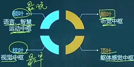 心理学基础第1章第2章笔记,心理学与教育心理学概述总结