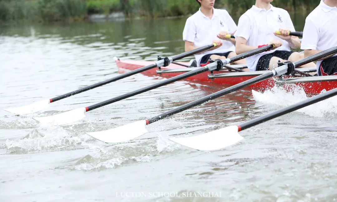 上海莱克斯顿国际高中,莱克顿上海学校怎么样