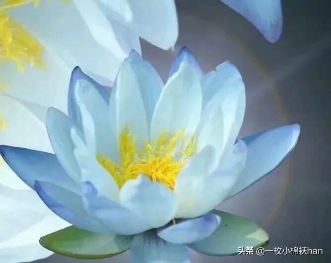 四点就知道男人爱不爱你,一个男人爱不爱你看这点就知道了