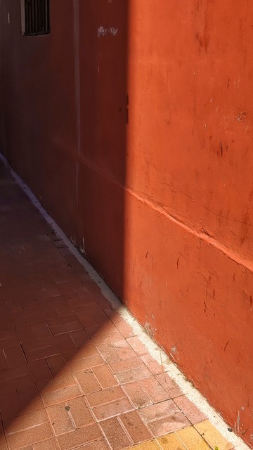 2023成考数学解题技巧和方法,2023贵州中考数学模拟试题