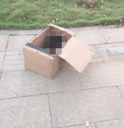 二十岁花季少女毁容手术,重庆15岁花季少女被毁容之后