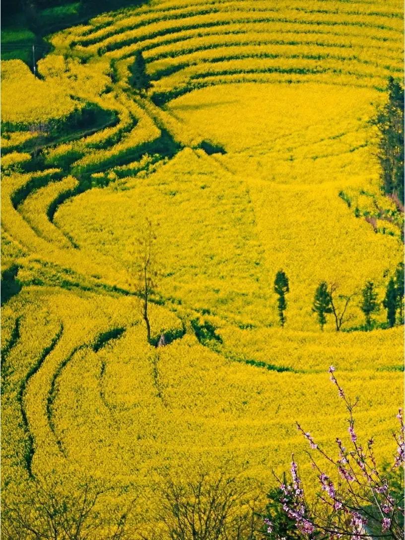 云南好玩的小城市,云南好看的城市