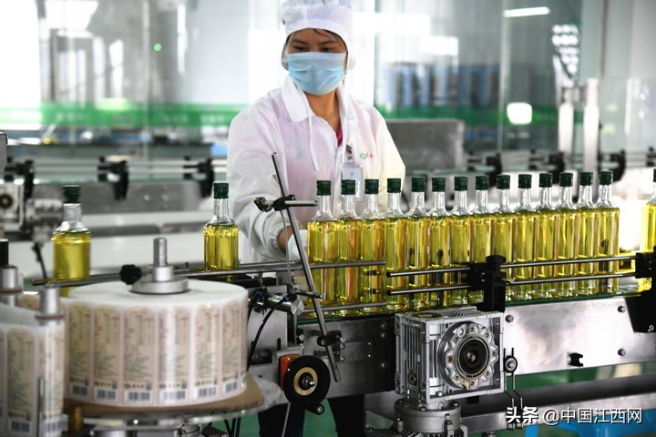 十年磨一剑只为匠心制造,十年磨一剑匠心工艺