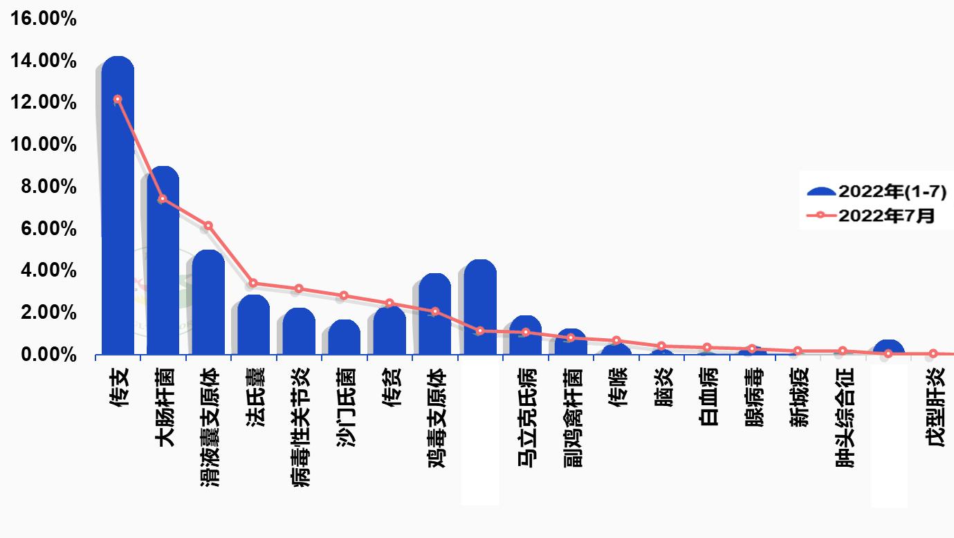 怎么快速检测蛋鸡滑液囊支原体,鸡的滑液囊支原体如何防控
