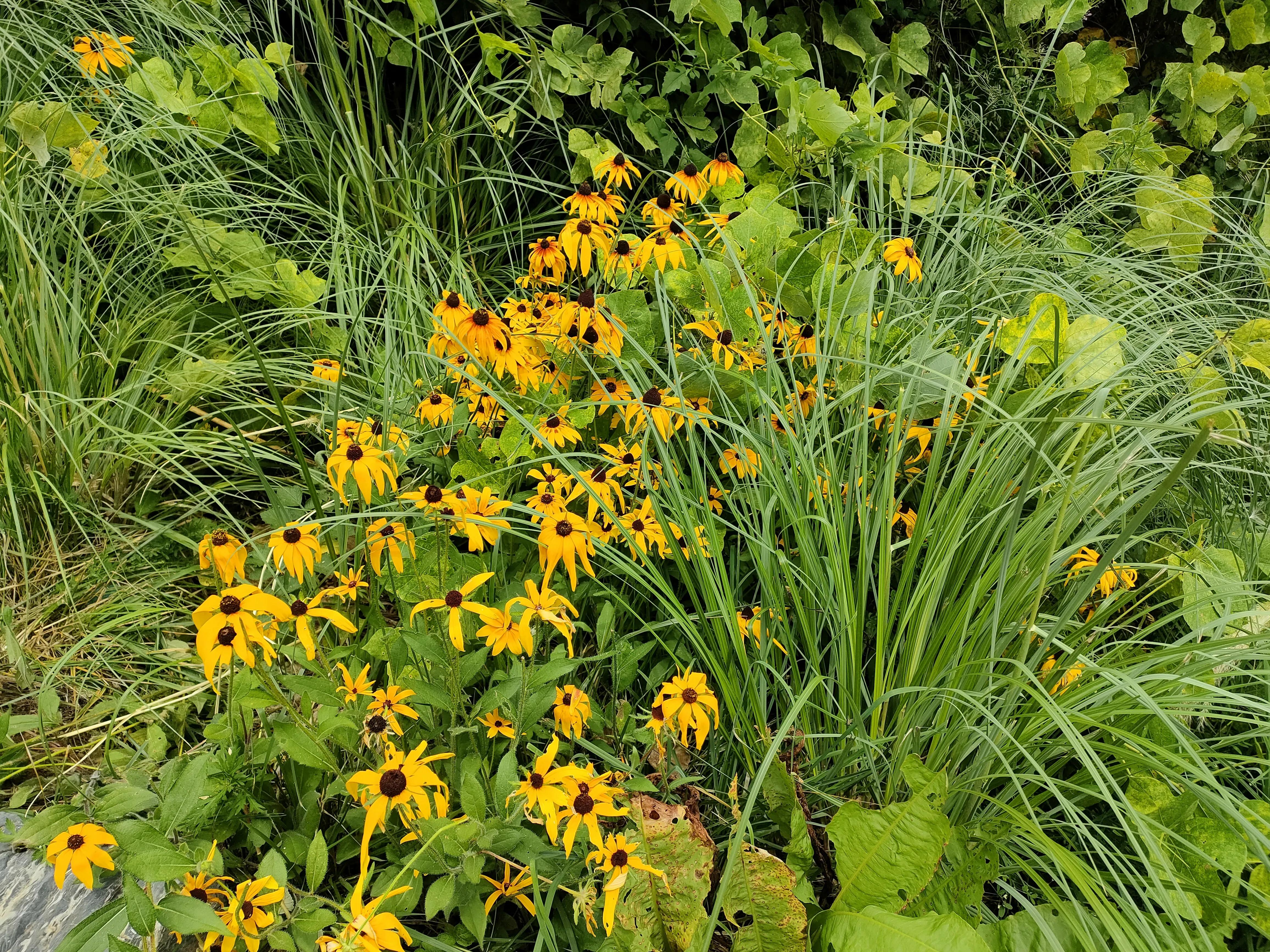 秦岭江山景区怎么样,秦岭江山景区最新通知