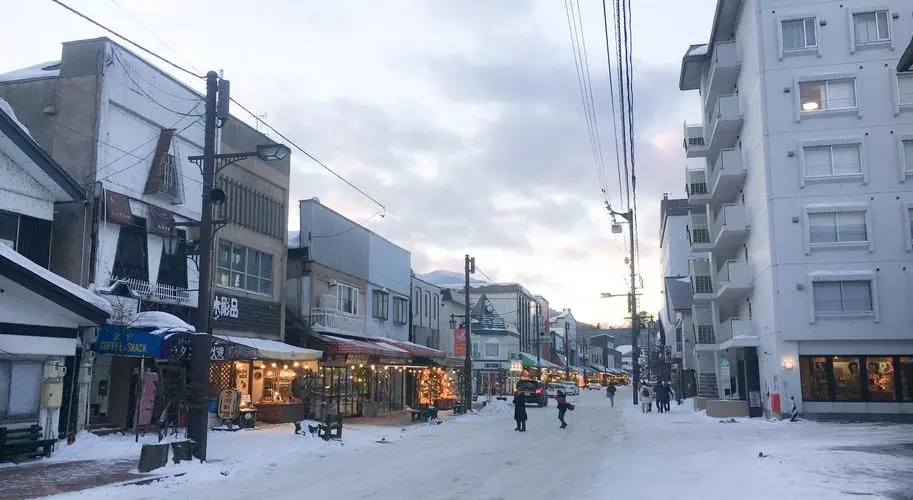上海小伙负债42万到日本求学,被骗到农村成了黑户,打工15年养家人