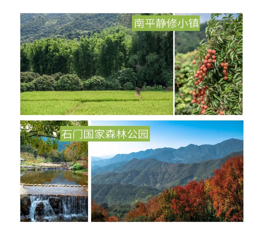 广州从化荔枝节,从化荔枝节什么时候开始举行