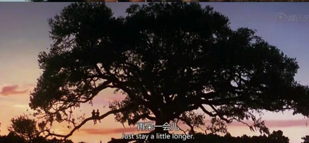 阿甘正传在电影史上的意义,电影阿甘正传中阿甘的信念是什么