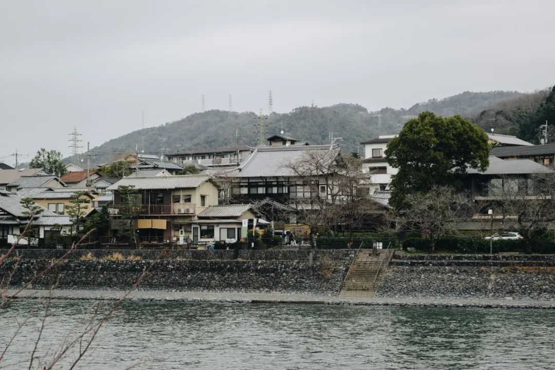 日本01年出生人口,日本01假面骑士