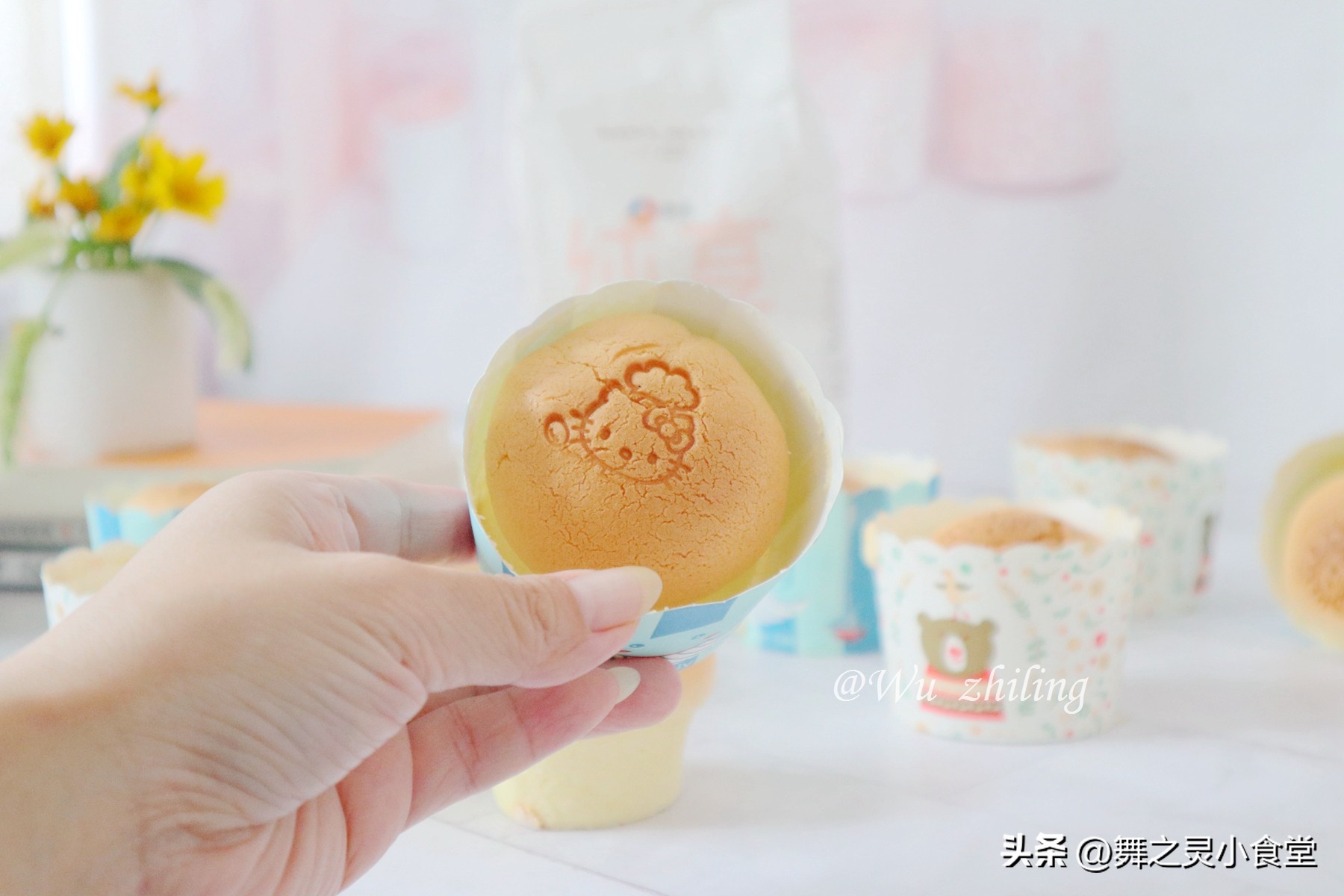 只用普通面粉鸡蛋糖做出来的蛋糕,只有面粉鸡蛋白糖酵母能做蛋糕吗