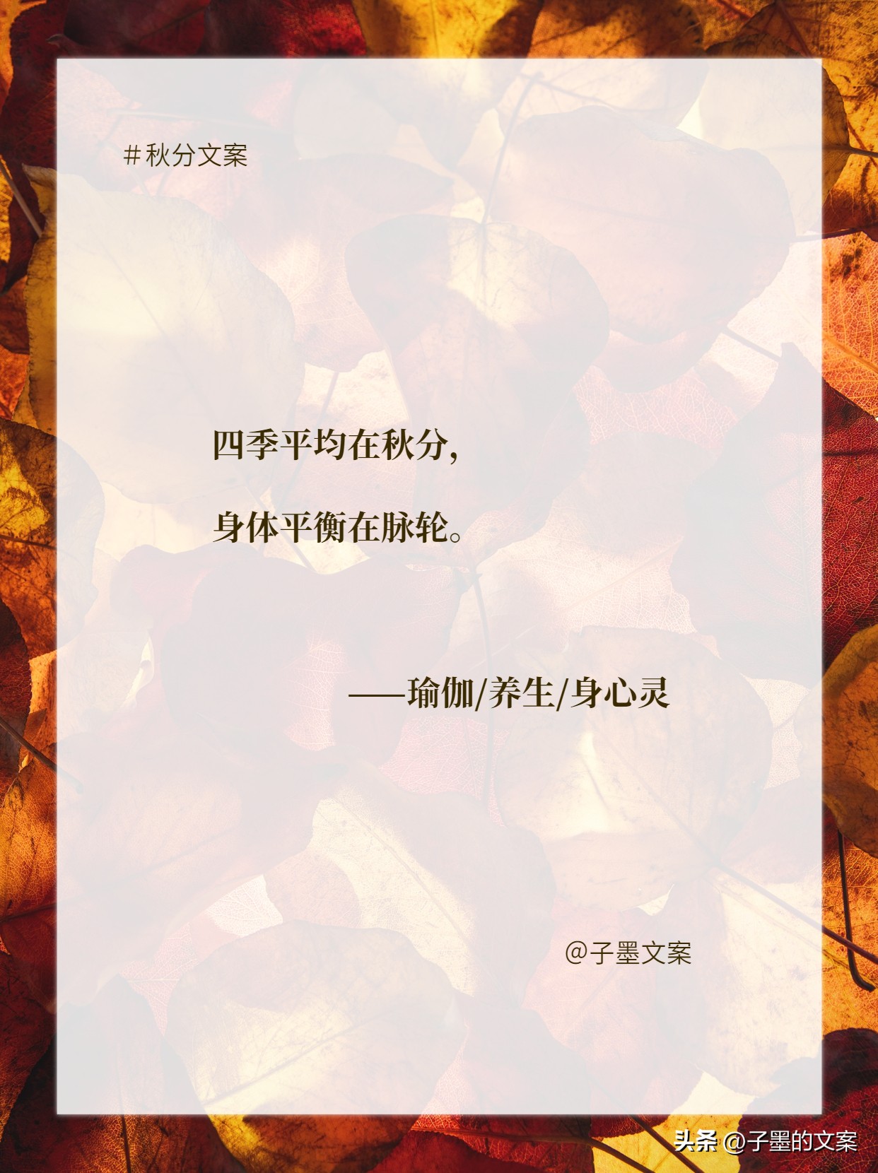 秋分朋友圈文案小红书,秋分暖心文案短句唯美