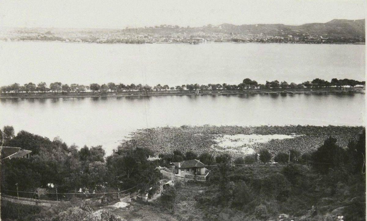 罕见照片，世界上胸最大的女人，女人舌头10.16厘米，你见过吗