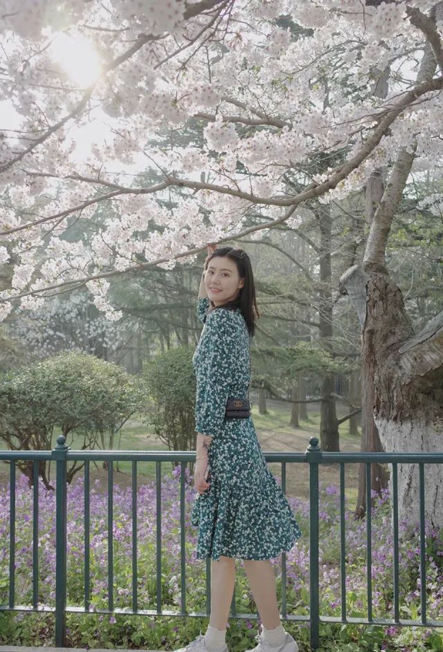 体坛美女照,体坛十大美女图片