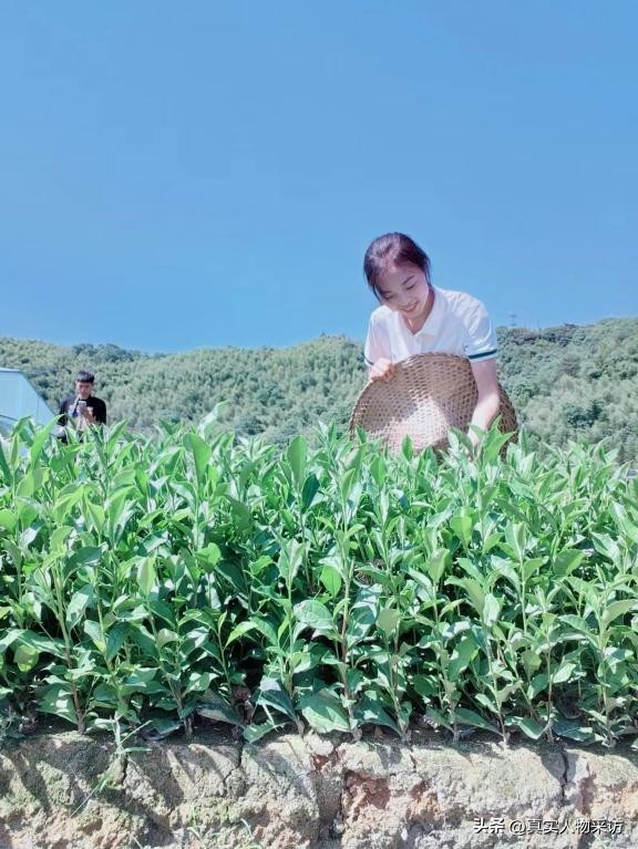 我90后都在做什么工作,学厨师月入过万需要多久