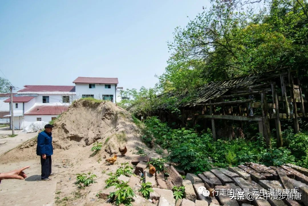 越江码头轮渡,越江轮渡在哪里