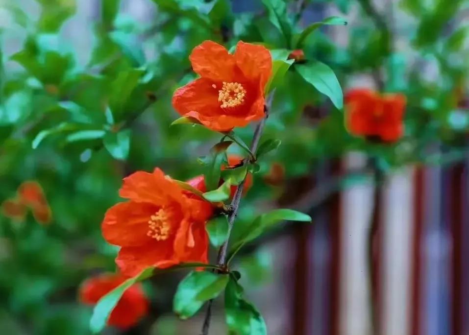 看了2022年平均工资，才知道最吃香的就业专业是哪些