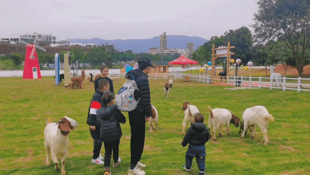 微度假|最美绿水青山线路！被深圳这片乡野田园治愈了