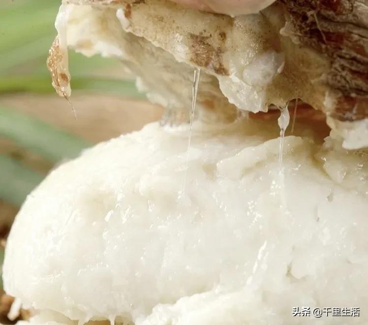 云南高山新鲜奶油芋头,云南奶油芋头做法大全