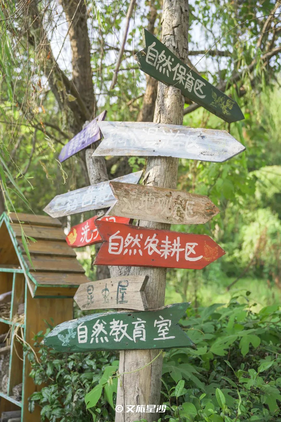 收藏附近吃喝玩乐,夏季长沙星沙吃喝玩乐攻略