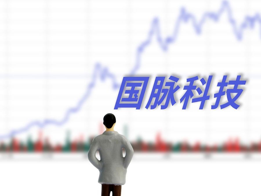 未来5年国脉科技,国脉科技的前世今生