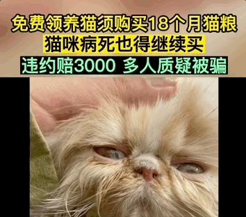 免费领养一只品种猫，猫死后强行要我买猫粮，赔3000