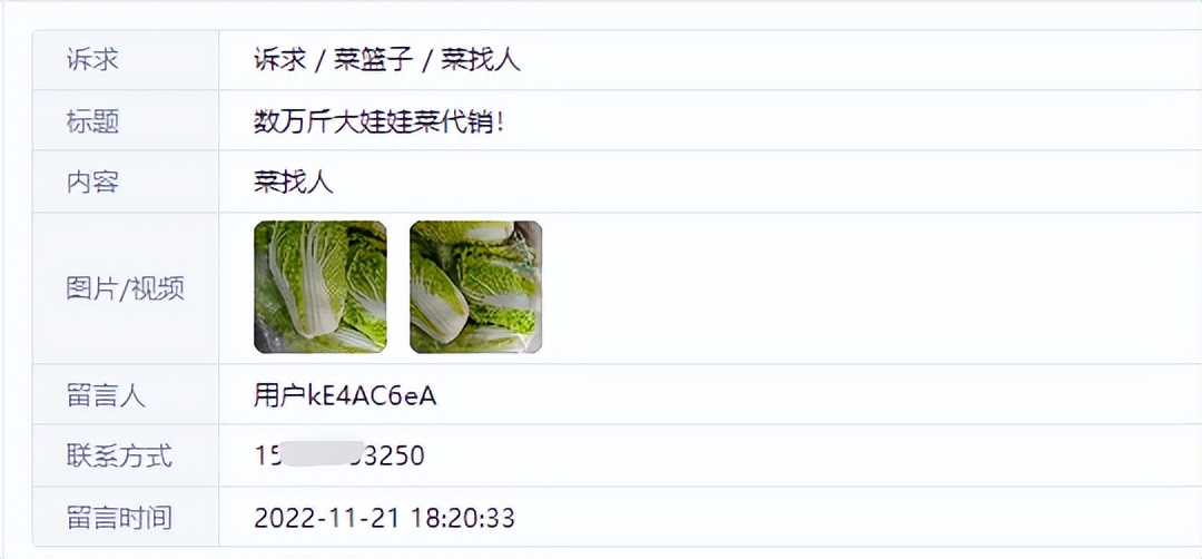 河南菜农50元卖一车白菜,河南菜农6分钱一斤白菜