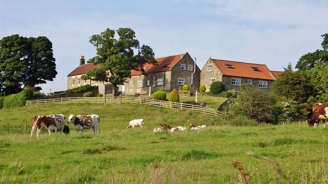美国女农场主招夫婿 (美国农场主招夫婿)
