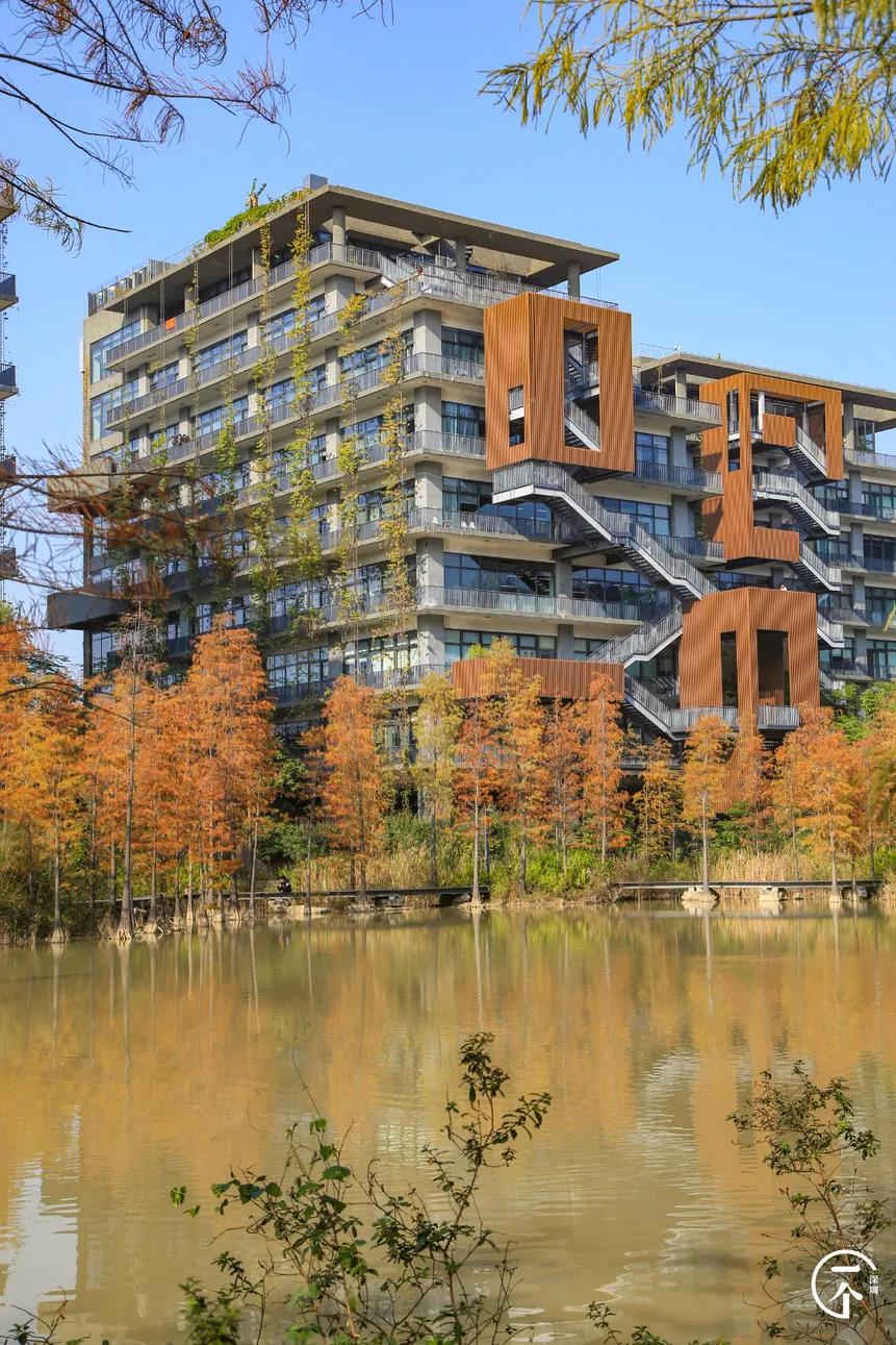 深圳4个绝美海岛,深圳值得游玩的小岛