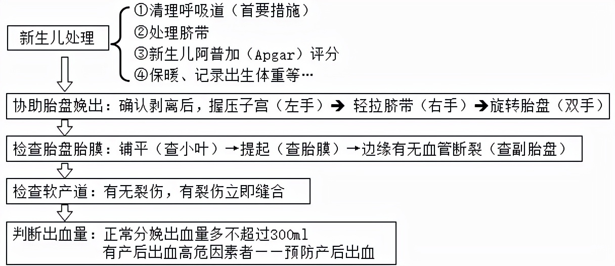 孕妈妈怎么判断胎位是正的,胎儿屁股在右侧是什么胎位
