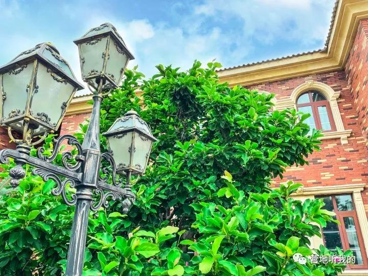 北京新开的国际学校,帝都国际学校