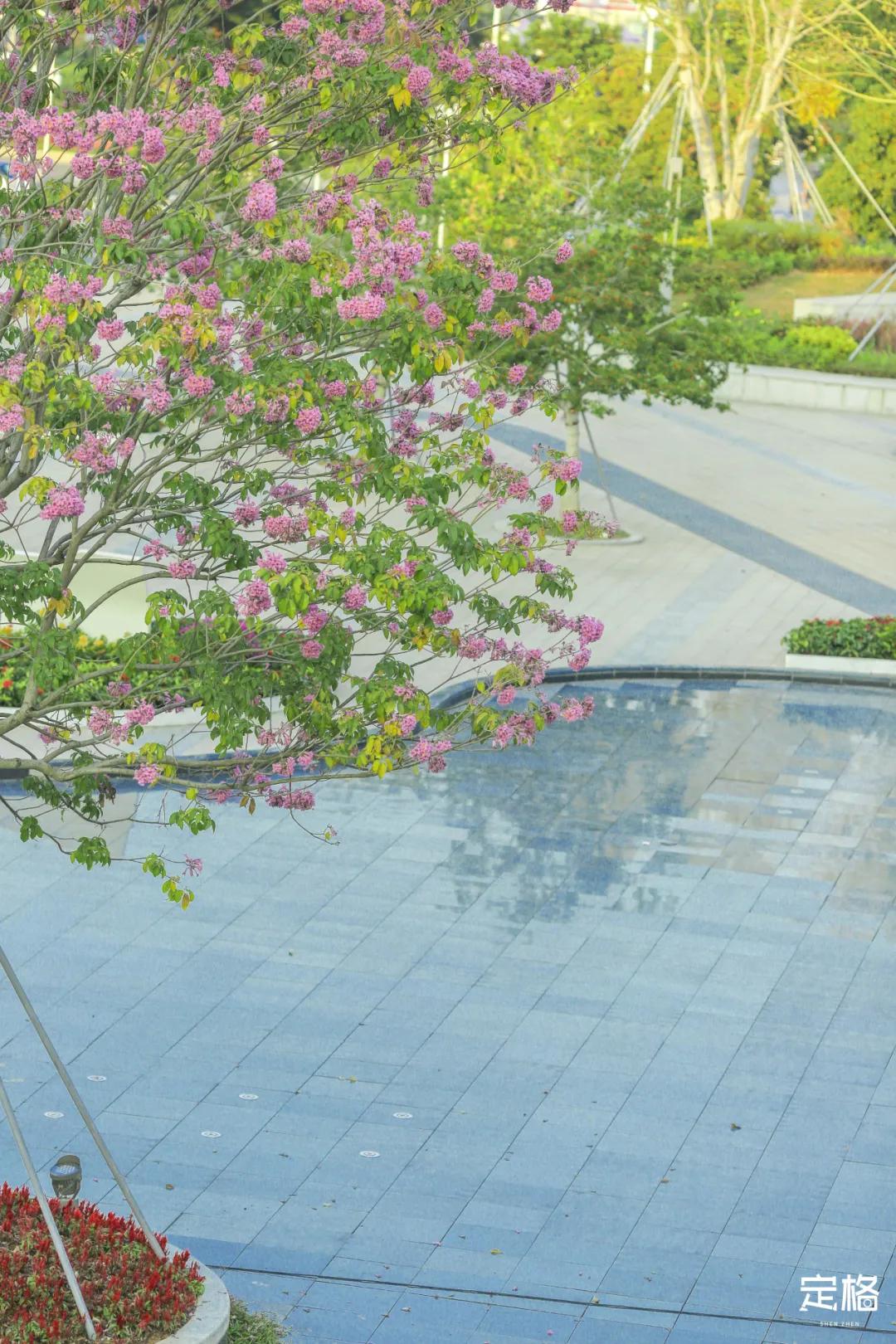 深圳户外公园最大滑滑梯,深圳滑滑梯免费南山公园附近