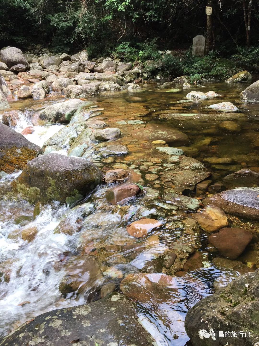 广西十万大山国家森林公园,广西十万大山国家森林公园图片