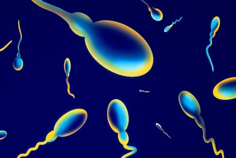 男性长期禁欲，精子只产不排，最后会怎样？医生：恐难逃3大结局